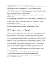Valstybės garantuojama teisinė pagalba baudžiamajame procese 3 puslapis