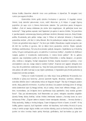 Romantiniai herojai Viktoro Hugo romane "Paryžiaus katedra" 8 puslapis
