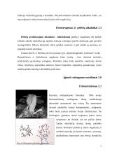 Alimentinės ir įgimtos karvių reprodukcijos sutrikimo priežastys 5 puslapis