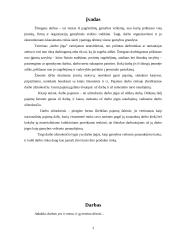 Darbas. Darbo režimas. Darbo apmokėjimas 3 puslapis