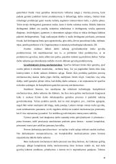 Darbo našumo šaltiniai ir veiksniai 13 puslapis