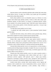 Darbo našumo šaltiniai ir veiksniai 14 puslapis