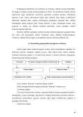 Darbo našumo šaltiniai ir veiksniai 18 puslapis