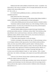 Darbo našumo šaltiniai ir veiksniai 4 puslapis
