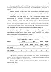 Diskriminacija kainomis 17 puslapis