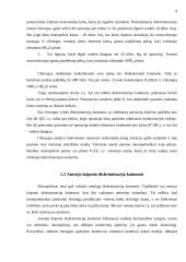 Diskriminacija kainomis 8 puslapis