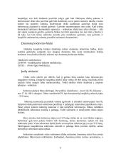 Duomenų apykaita išorinėje laikmenoje 6 puslapis