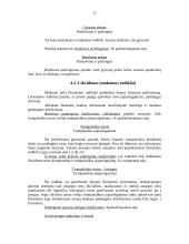 Finansinė analizė: AB "Rytų skirstomieji tinklai" 17 puslapis