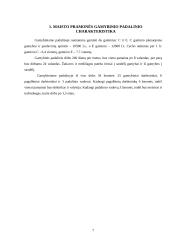 Gamybos padalinio sąnaudų ir ekonominių rodiklių apskaičiavimas 7 puslapis