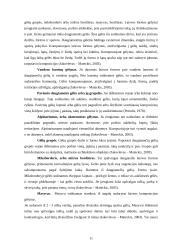Gėlynų tipai ir Daugpilio miesto gėlyno analizė 11 puslapis