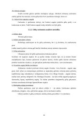 Gėlynų tipai ir Daugpilio miesto gėlyno analizė 19 puslapis