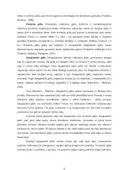Gėlynų tipai ir Daugpilio miesto gėlyno analizė 8 puslapis