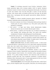 Gėlynų tipai ir Daugpilio miesto gėlyno analizė 10 puslapis