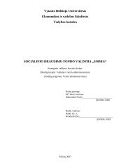 Įmonės strateginis valdymas: socialinio draudimo fondo valdyba "Sodra"