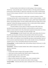 Įmonės strateginis valdymas: socialinio draudimo fondo valdyba "Sodra" 3 puslapis