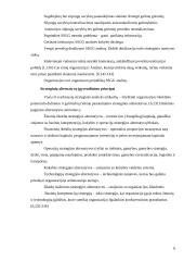 Įmonės strateginis valdymas: socialinio draudimo fondo valdyba "Sodra" 6 puslapis