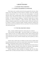 Įmonės sukūrimas: TŪB "Gintaro tranzitas" 2 puslapis