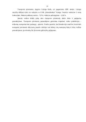 Įmonės sukūrimas: TŪB "Gintaro tranzitas" 11 puslapis