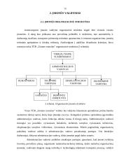 Įmonės sukūrimas: TŪB "Gintaro tranzitas" 12 puslapis