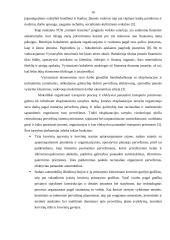 Įmonės sukūrimas: TŪB "Gintaro tranzitas" 13 puslapis