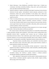 Įmonės sukūrimas: TŪB "Gintaro tranzitas" 14 puslapis