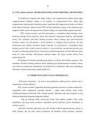 Įmonės sukūrimas: TŪB "Gintaro tranzitas" 15 puslapis