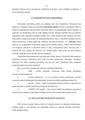 Įmonės sukūrimas: TŪB "Gintaro tranzitas" 16 puslapis