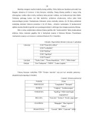 Įmonės sukūrimas: TŪB "Gintaro tranzitas" 17 puslapis