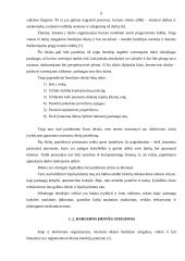 Įmonės sukūrimas: TŪB "Gintaro tranzitas" 3 puslapis