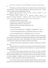 Įmonės sukūrimas: TŪB "Gintaro tranzitas" 4 puslapis