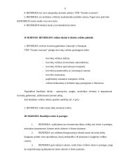 Įmonės sukūrimas: TŪB "Gintaro tranzitas" 6 puslapis