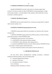 Įmonės sukūrimas: TŪB "Gintaro tranzitas" 7 puslapis