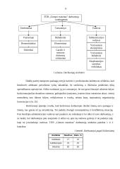 Įmonės sukūrimas: TŪB "Gintaro tranzitas" 8 puslapis