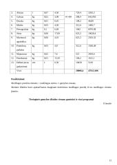 Įmonės veiklos rodikliai: picų gamyba UAB "Gurmanų pica" 13 puslapis