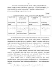 Įmonių bankroto priežastys ir pasekmės, jų prognozavimas 14 puslapis