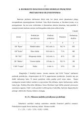 Įmonių bankroto priežastys ir pasekmės, jų prognozavimas 16 puslapis