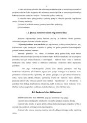 Įmonių bankroto priežastys ir pasekmės, jų prognozavimas 4 puslapis