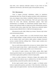 Intensyvus žieminių rugių auginimas lengvuose dirvožemiuose 14 puslapis