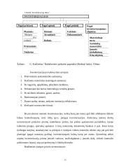 Inventorizacijos organizavimas, įforminimas ir rezultatų apskaita įmonėje 15 puslapis