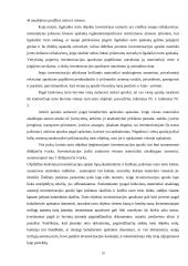 Inventorizacijos organizavimas, įforminimas ir rezultatų apskaita įmonėje 19 puslapis