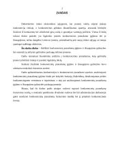Konkurencinis pranašumas 2 puslapis