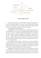 Konkurencinis pranašumas 12 puslapis