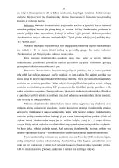 Konkurencinis pranašumas 13 puslapis