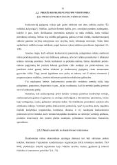 Konkurencinis pranašumas 15 puslapis