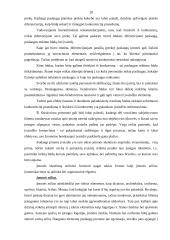 Konkurencinis pranašumas 20 puslapis
