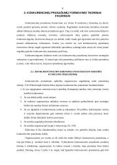 Konkurencinis pranašumas 8 puslapis