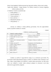 Lietuvos užmiesčio viešbučių ypatumai 16 puslapis