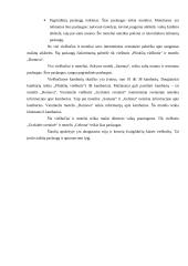 Lietuvos užmiesčio viešbučių ypatumai 19 puslapis