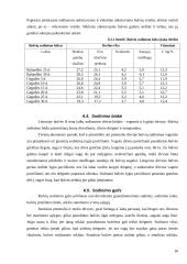 Maistinių bulvių technologijos 16 puslapis