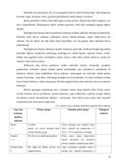 Maistinių bulvių technologijos 18 puslapis